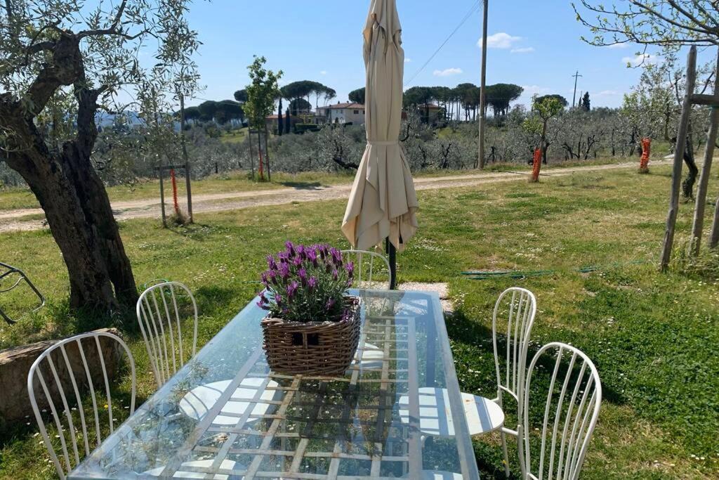 AntellaBilocale Con Giardino Alle Porte Di Firenzeアパートメント エクステリア 写真